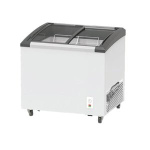 Commercial Ice Cream Chest Freezer - Efficient Storage for Frozen Treats