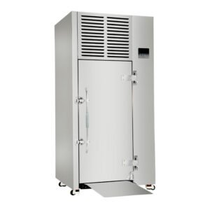 15-tray commercial blast freezer roll-in cart type with 615L capacity and -40°C low temperature for commercial kitchens